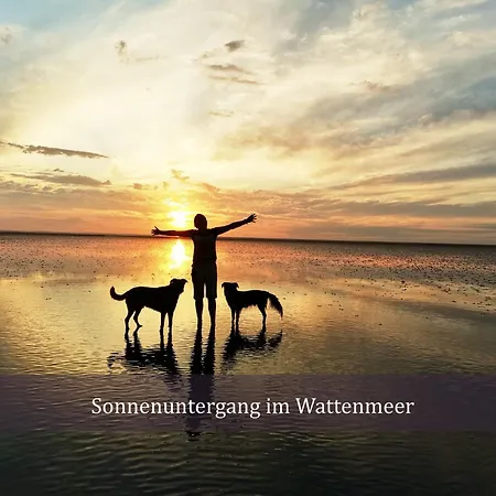 De Prigg Wohlfuehlen Am Nordseedeich Дорум-Нойфельд