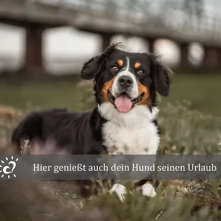 De Prigg Wohlfuehlen Am Nordseedeich Апартаменты Дорум-Нойфельд