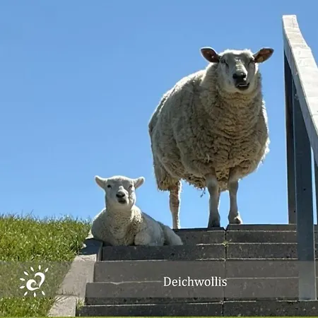 De Prigg Wohlfuehlen Am Nordseedeich