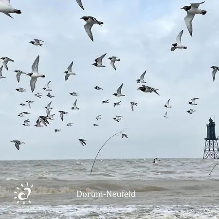 De Prigg Wohlfuehlen Am Nordseedeich